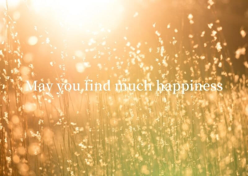 May you find much happiness